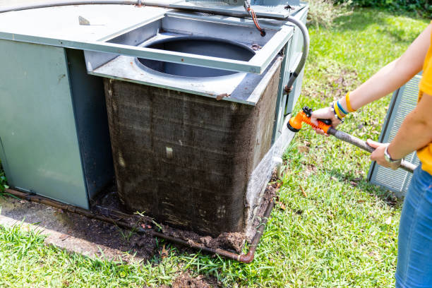 Best HVAC Air Duct Cleaning  in Annandale, MN