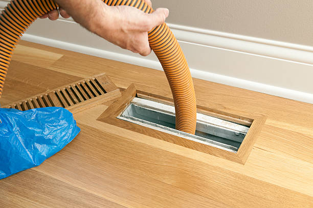 Best Best Air Duct Cleaning Company  in Annandale, MN