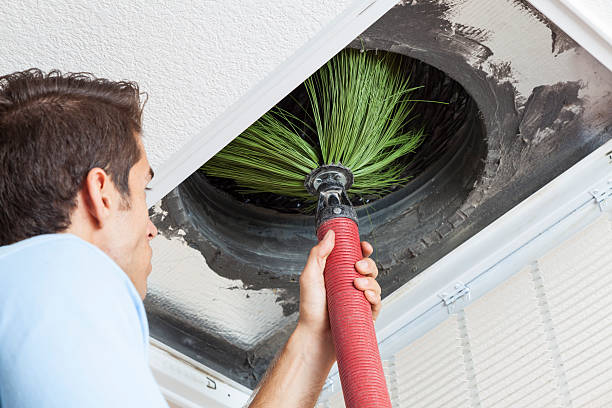 Best Affordable Duct Cleaning Services  in Annandale, MN